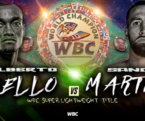 Triple title action fills Davis-Roach undercard puello russell martin sandor julian williams boxrec predictions how to watch prie video tv channe betting odds oddschecker