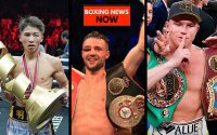 Boxer of the Year 2019