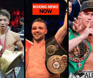 Boxer of the Year 2019