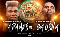 Carlos Adames vs Terrell Gausha WBC middleweight title fight preview oddschecker boxrec who wins predictions betting odds best bets tips pundits picks