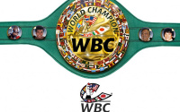 WBC to name new weight division as 'Bridgerweight' at 224lbs