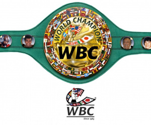 WBC to name new weight division as 'Bridgerweight' at 224lbs