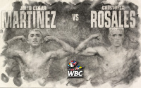 Cristofer Rosales vs Julio César “Rey” Martínez