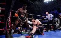 David Adeleye stops Dymtro Bezus to win first title wbo european heavyweight boxrec watch highlights frank warren bt sport amateur career record world rankings next fight youtube