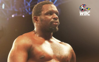 Dillian Whyte WBC interim world heavyweight title