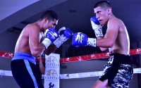 Top Mexican prospect Ernesto Salcedo moves up to 13-0 with second-round KO Jose Manuel Montalvo Martinez boxrec who is he amateur career pro record next fight watch highlights youtube knockout reel