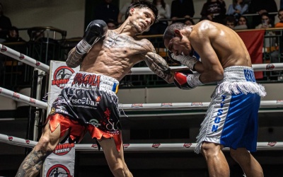 Giorgio "Dracula" Isaila sinks his teeth into Josue Bendana to secure another KO stoppage win boxrec watch full fight highlights matt marsh trainer