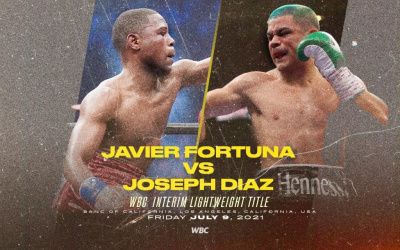 WBC sanction Javier Fortuna vs Joseph Diaz for the Interim World Lightweight Championship ryan garcie takes a leave timme off boxing mental health issues