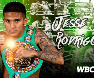 Super-flyweight champ Jesse Rodríguez vacates WBC belt boxrec ibo world champions at flyweight julio cesar martinez el rey mcwilliams arroyo next fight