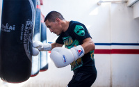 Juan Francisco Estrada vs Dewayne Beaumon