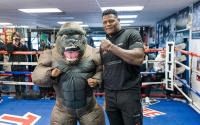 Deontay Wilder Luis Ortiz rematch 2