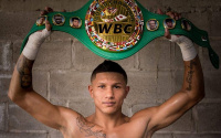 Miguel “Alacrán” Berchelt wbc cancun boxer mexico