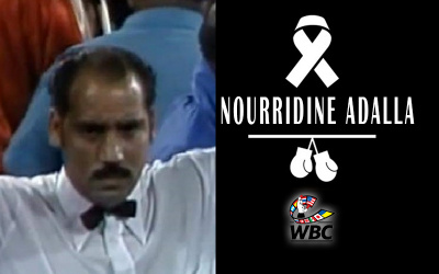 Nourridine Adalla official ring rumble in the jungle fight 1974 Wednesday october 30 congo george foreman muhammad ali round 8 highlights referee