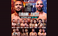 Things you didn't know about David Papot harlem eubank opponent fight boxer french france world rankings boxrec tapology wiki watch highlights win