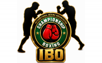 IBO monthly newsletter July 2026