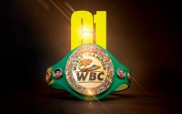 WBC decision regarding chantelle cameron boxrec wiki two-minute rounds for women’s boxing based on clinical study