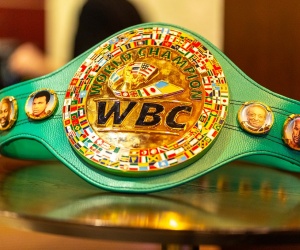 The World Boxing Council have released all their latest news per weight division at the start of 2025.