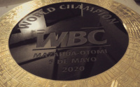 Winner of Canelo vs Billy Joe Saunders to receive special WBC Mazahua-Otomi belt