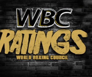 Full list of boxers who entered the WBC April 2023 world ratings top 40 15 boxrec champions