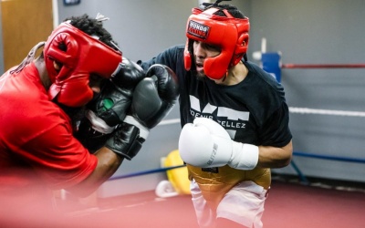 Yoenis Tellez targets Terence Crawford if he defeats Julian Williams on March 1 boxrec oddschecker who wins how why expert tips predictions training camp quotes